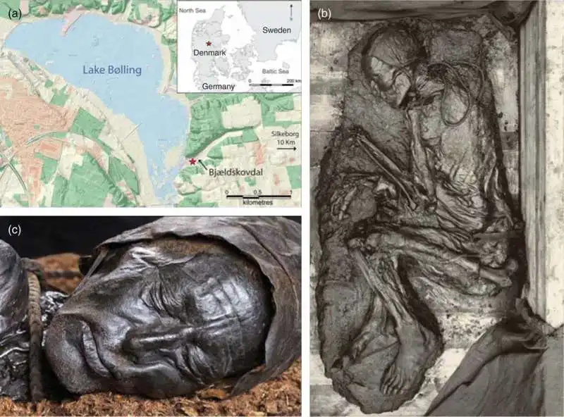 Tollund Man 4