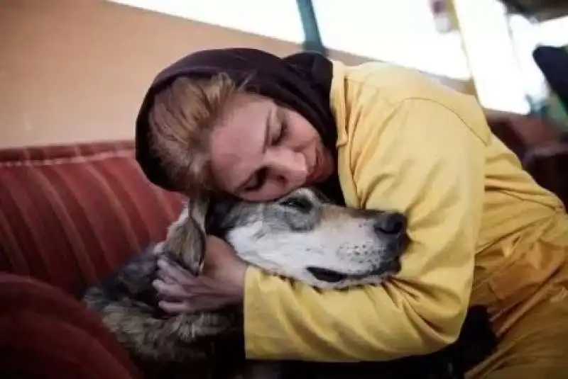 ANIMALI DOMESTICI IN IRAN 