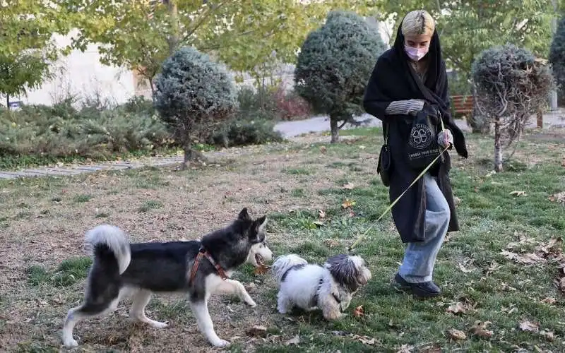 ANIMALI DOMESTICI IN IRAN 