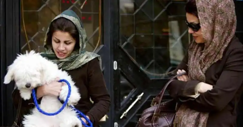 ANIMALI DOMESTICI IN IRAN 