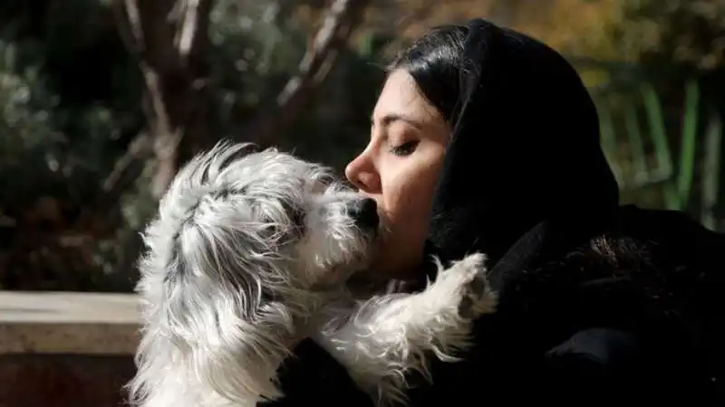 ANIMALI DOMESTICI IN IRAN 