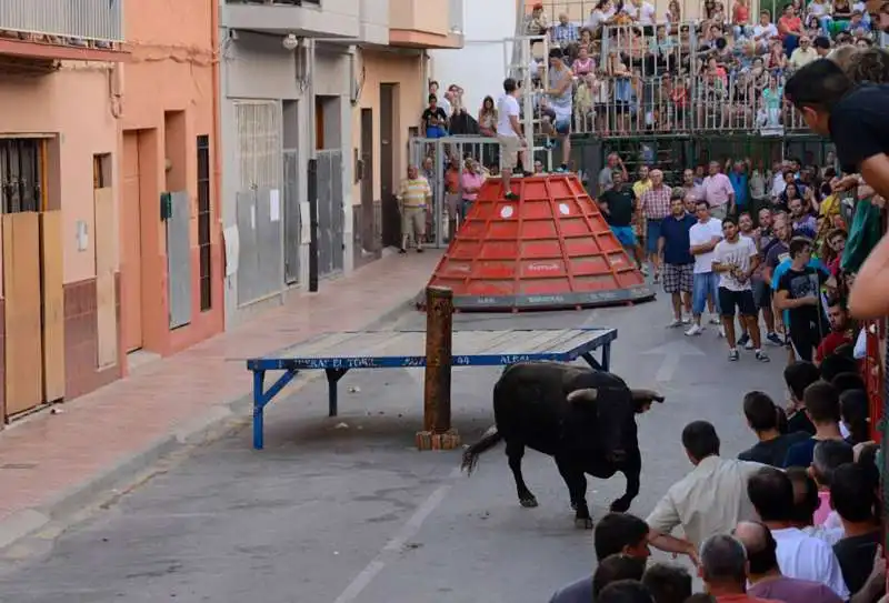 bous al carrer tori