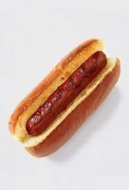 hot dog 1