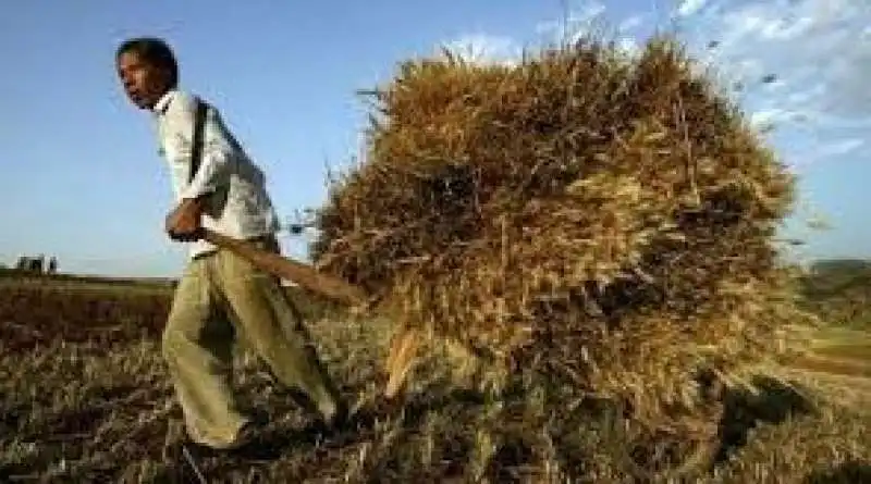 IN CINA SI PAGANO LE CASE CON PRODOTTI AGRICOLI 