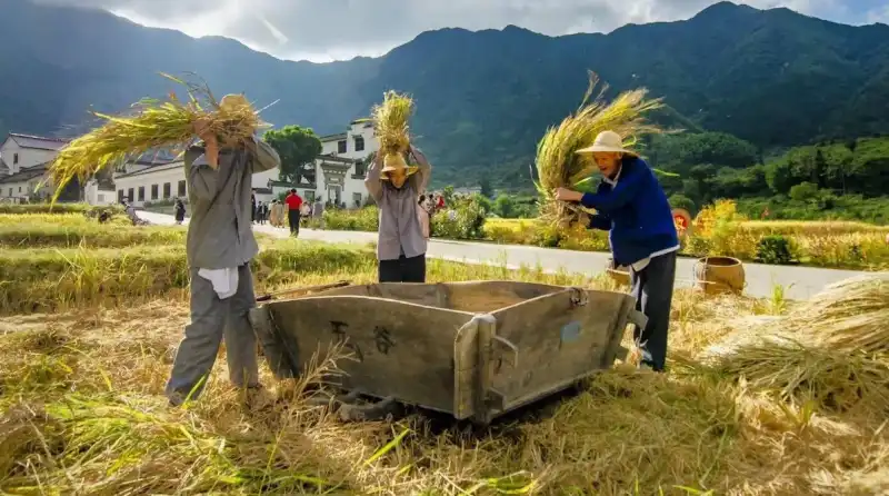 IN CINA SI PAGANO LE CASE CON PRODOTTI AGRICOLI 