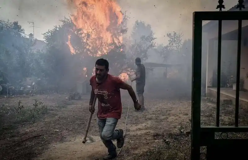 incendio a aventeira   portogallo 