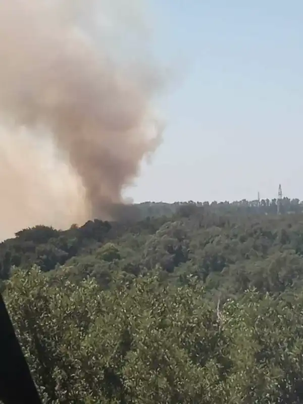 incendio alla Pisana a Roma 3