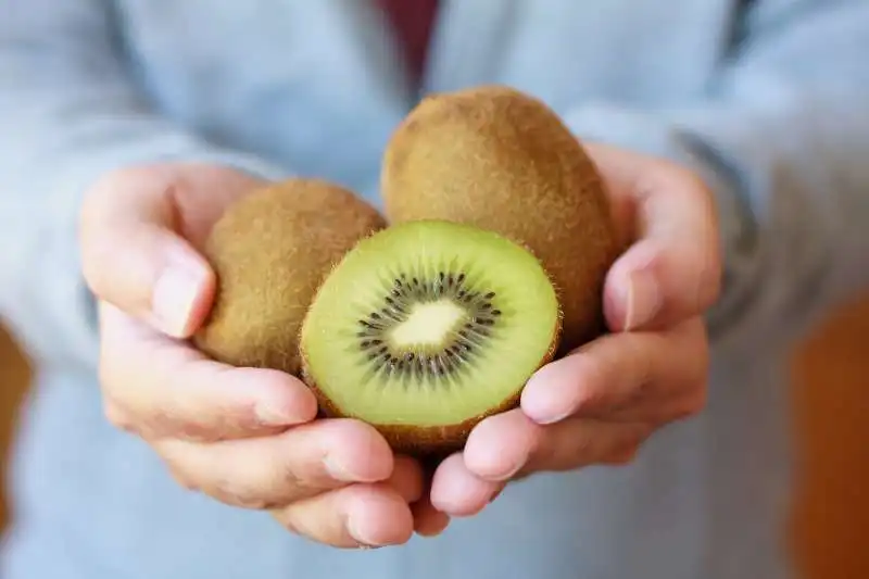 kiwi 2