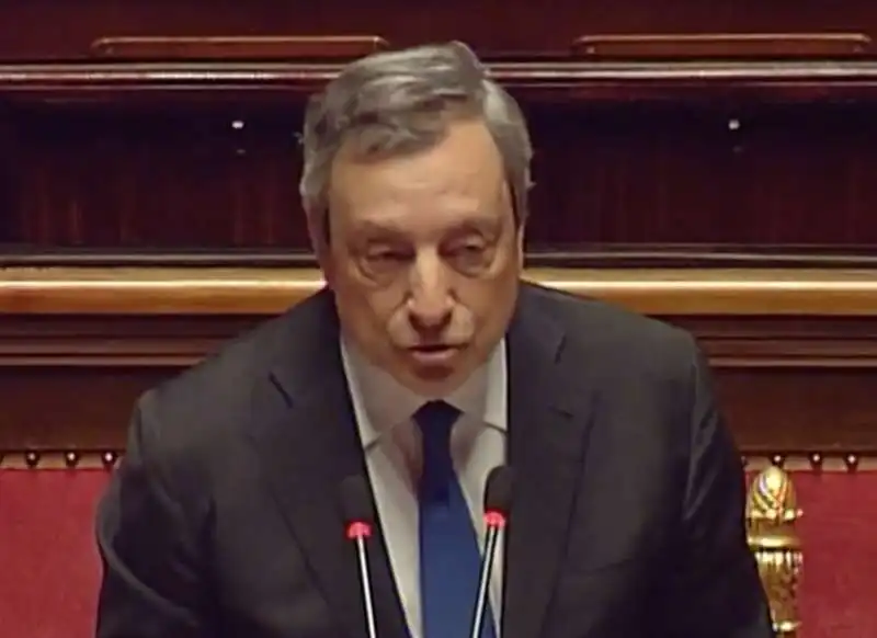 la replica di mario draghi al senato  