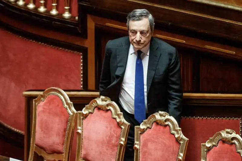 mario draghi al senato 