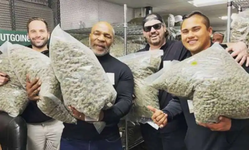 mike tyson marijuana 3