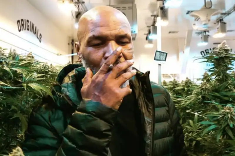 mike tyson marijuana 4