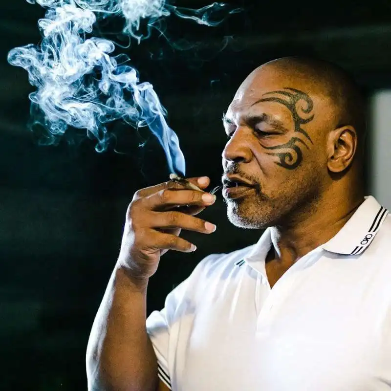 mike tyson marijuana 5