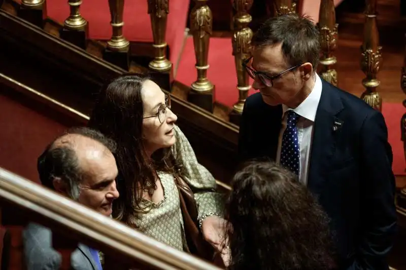 PAOLA TAVERNA ALLA SENATO