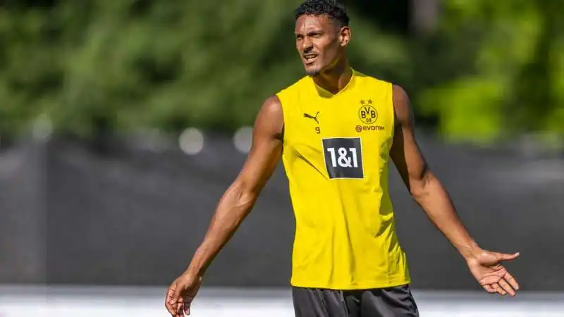 sebastien haller 