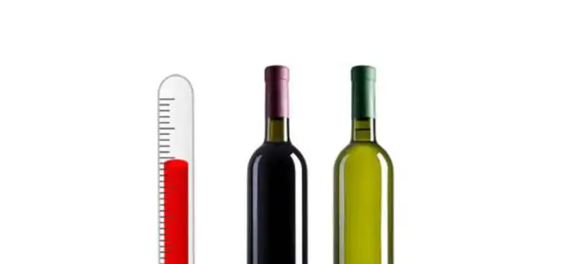 temperatura vino 