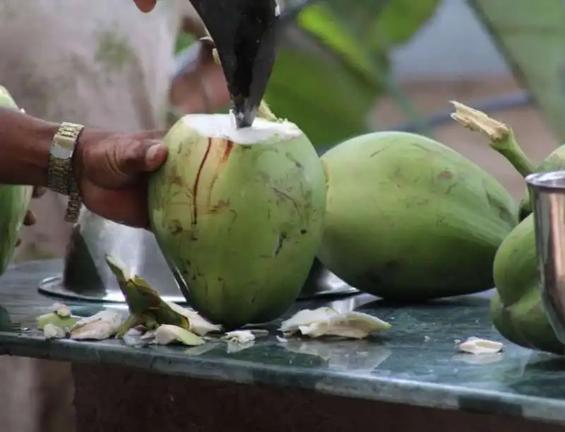 acqua di cocco 2