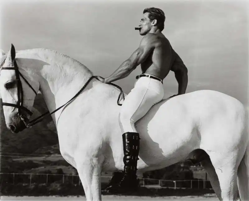  arnold schwarzenegger fotografato da annie leibovitz 