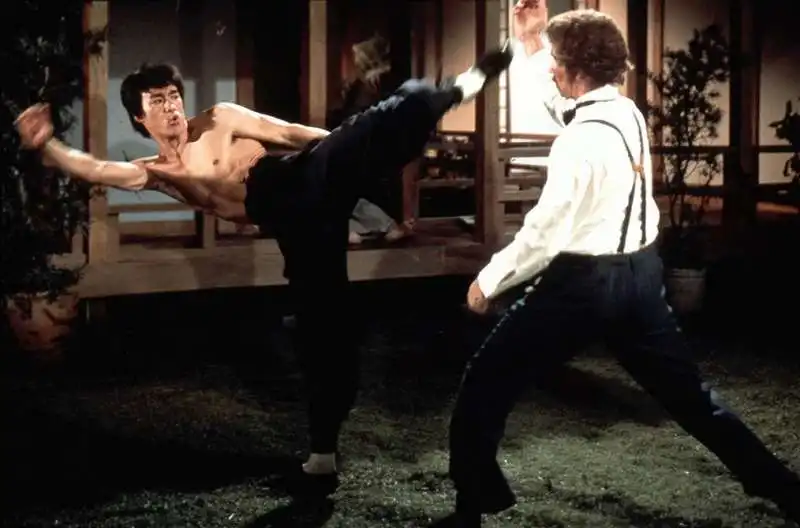 bruce lee 7