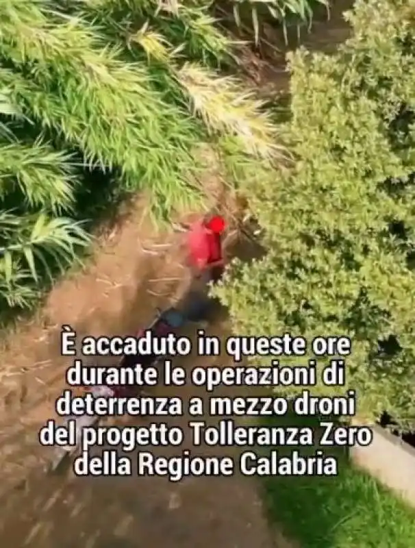 calabria - piromane beccato grazie a un drone 