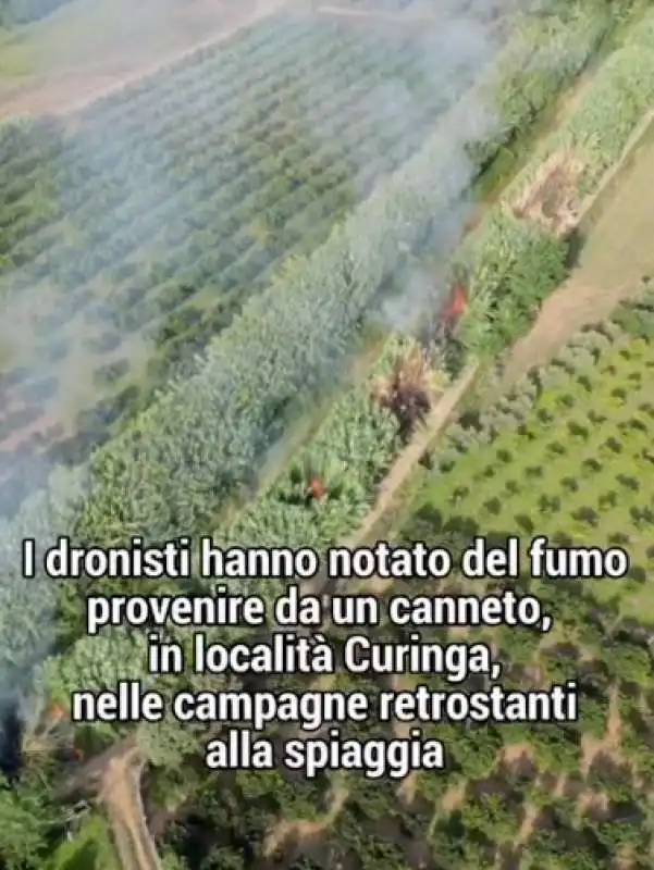 calabria - piromane beccato grazie a un drone 