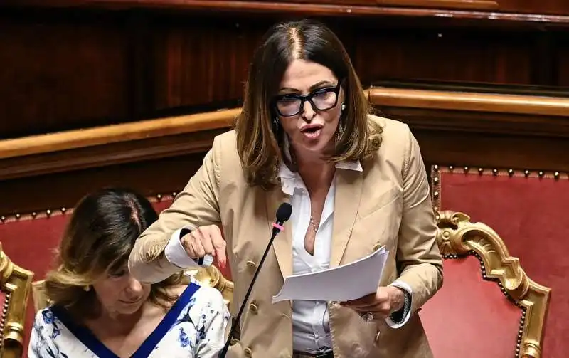 daniela santanche   informativa in senato 