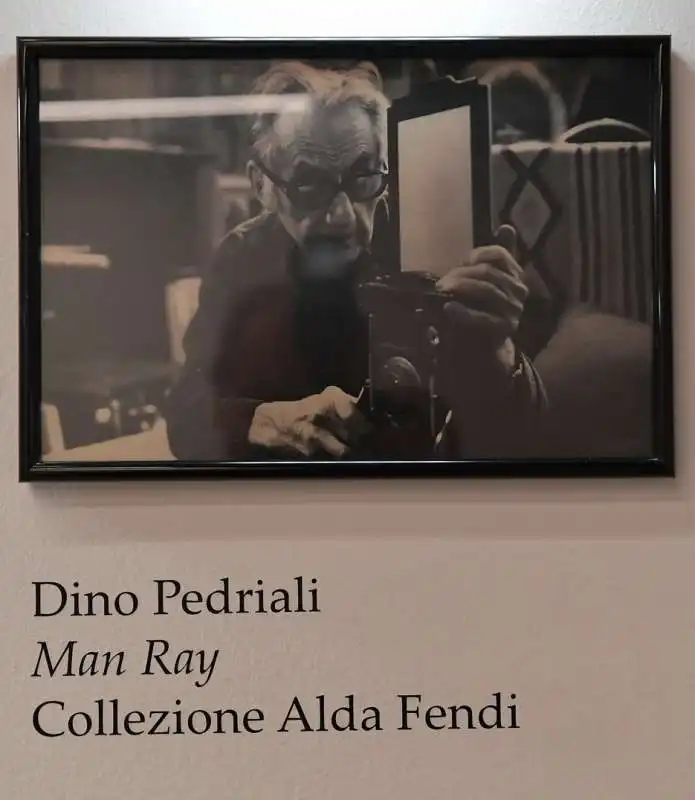 dino pedriali in foto