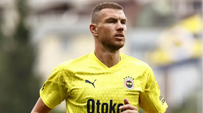 edin dzeko