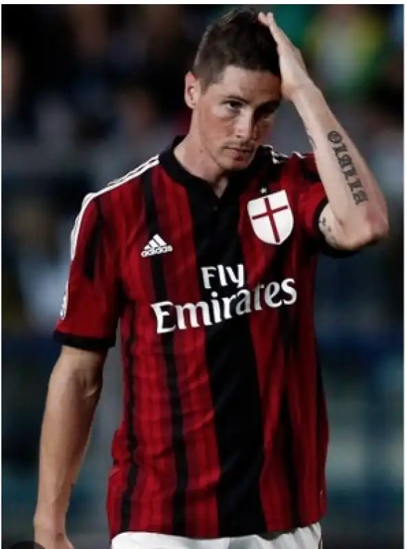 fernando torres