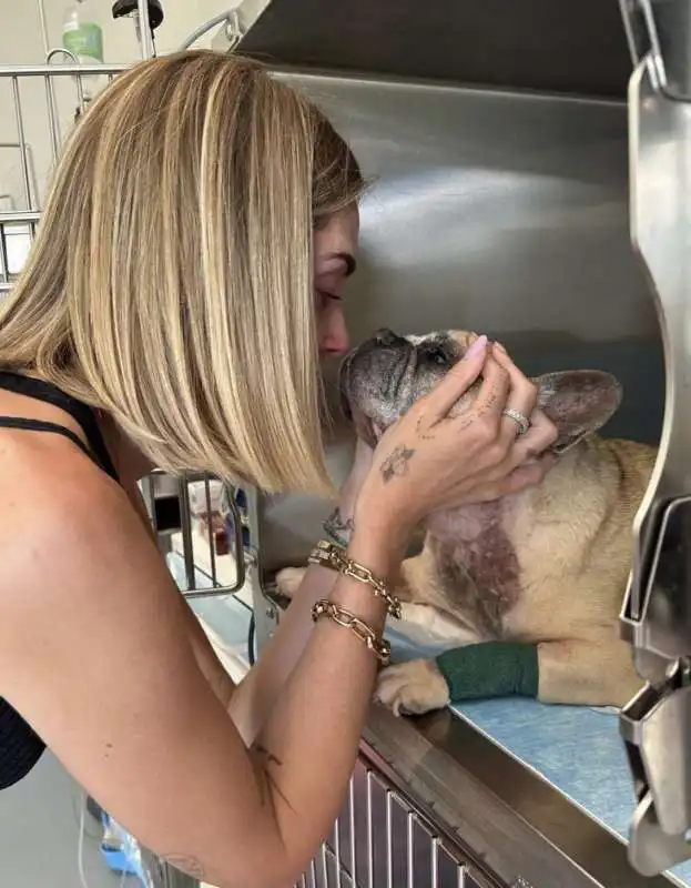 il messaggio di chiara ferragni per la morte del suo cane matilda