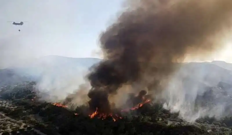 incendi  a rodi   