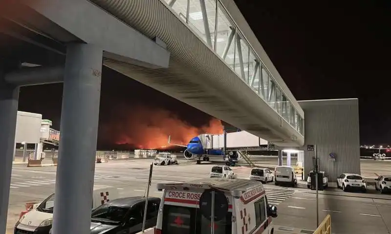 incendi all aeroporto di palermo 