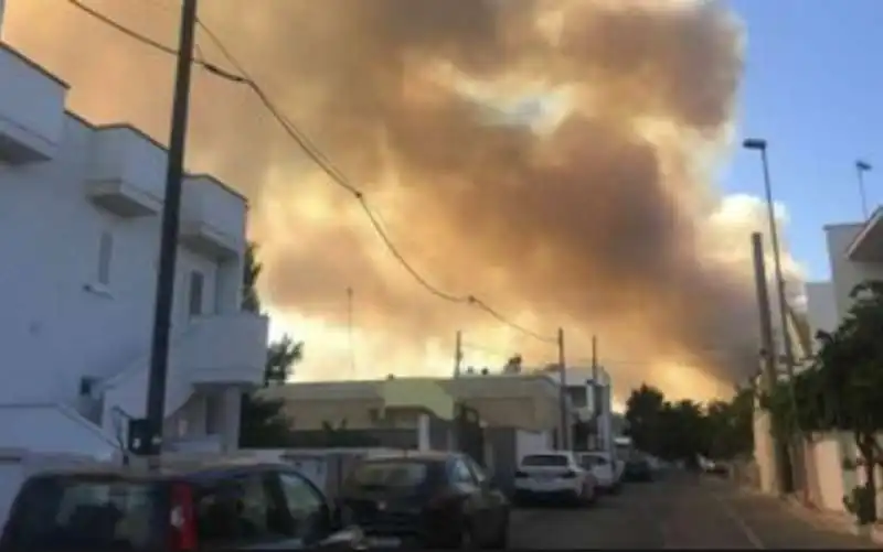 incendio a ugento, torre mozza (lecce) 7