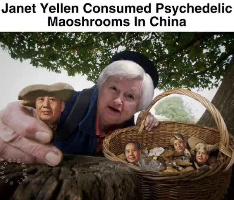 janet yellen consuma funghi allucinogeni in cina   meme   2