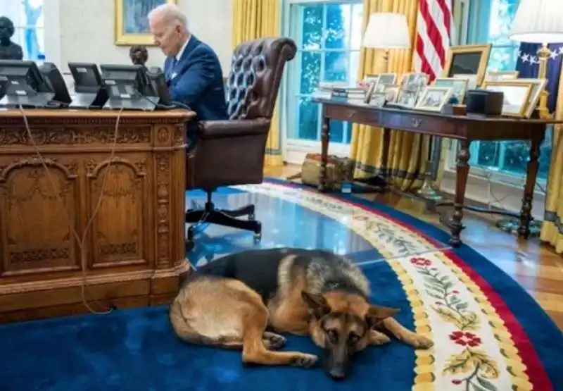 joe biden con il suo cane commander