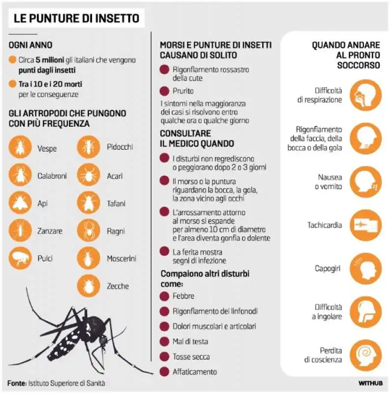 PUNTURE DEGLI INSETTI