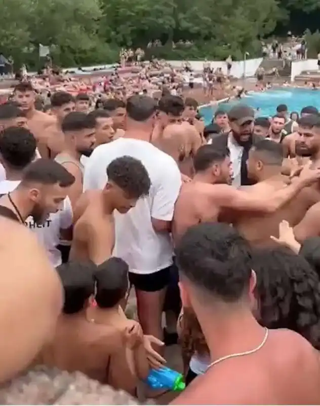 rissa in una piscina di berlino