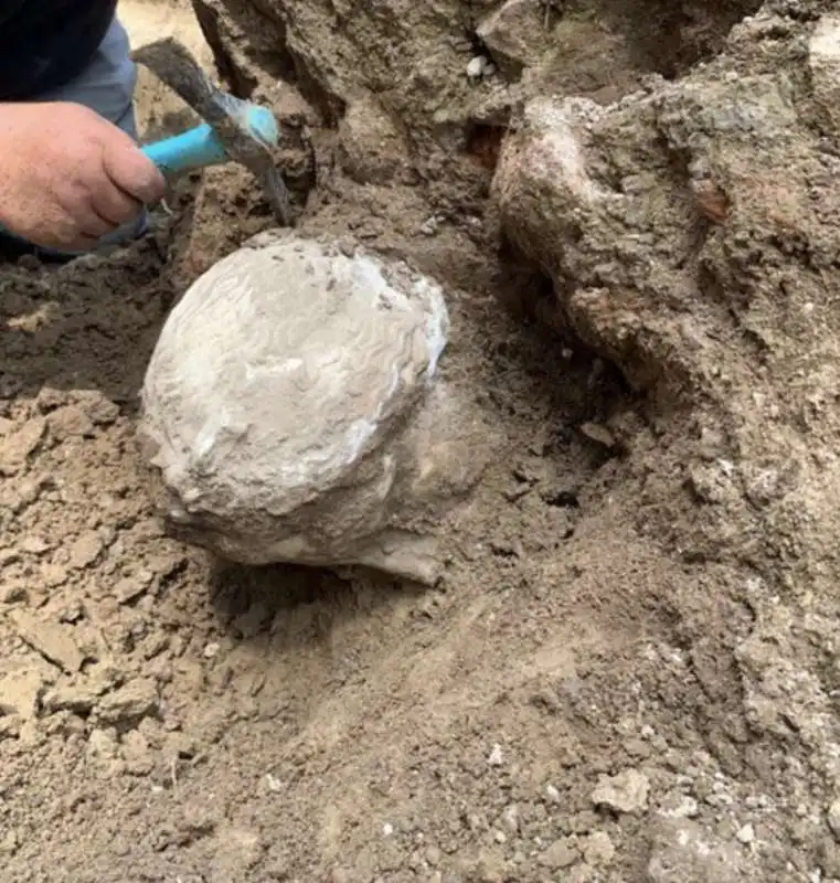 testa di marmo ritrovata a piazza augusto imperatore, a roma   5