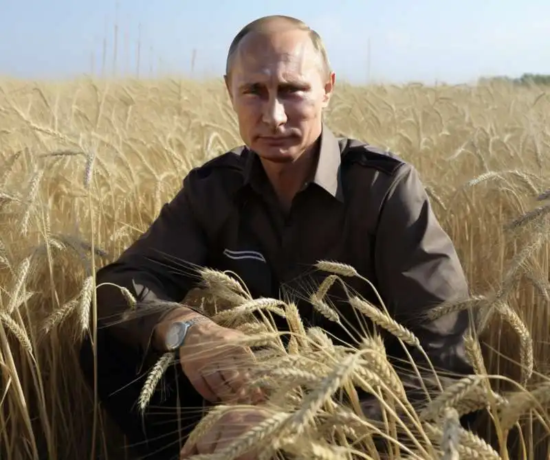 vladimir putin in un campo di grano   immagine creata con midjourney    2