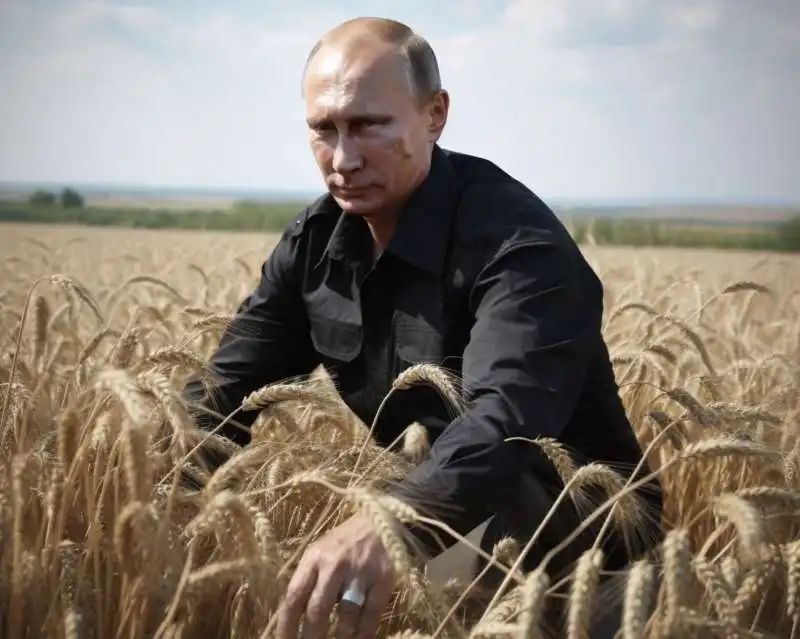 vladimir putin in un campo di grano   immagine creata con midjourney    3