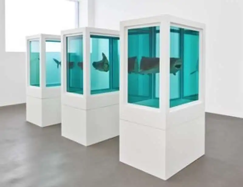 damien hirst natural history (1)