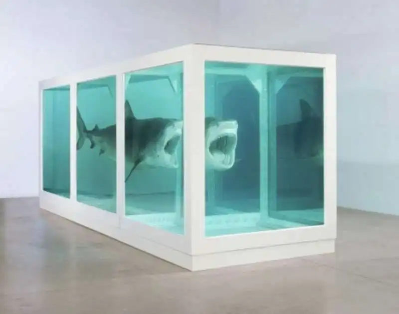 damien hirst shark