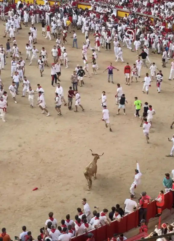 festa di san fermin   pamplona   10