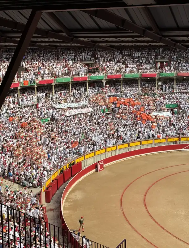 festa di san fermin   pamplona   16