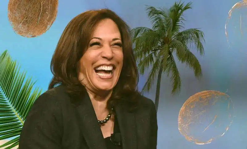 i meme di kamala harris e l albero di cocco 1