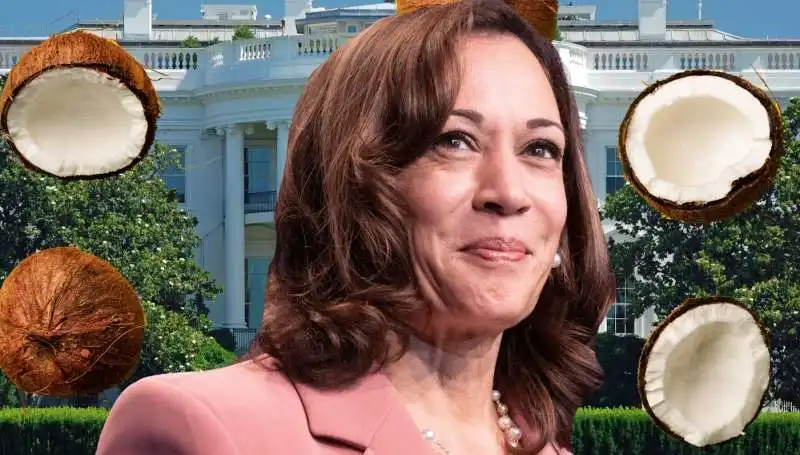 i meme di kamala harris e l albero di cocco 2