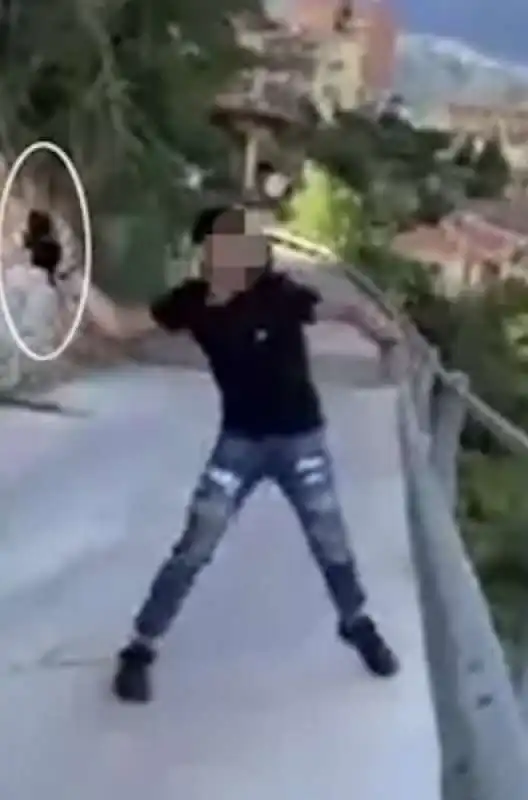 ragazzino lancia un gatto da un ponte   2