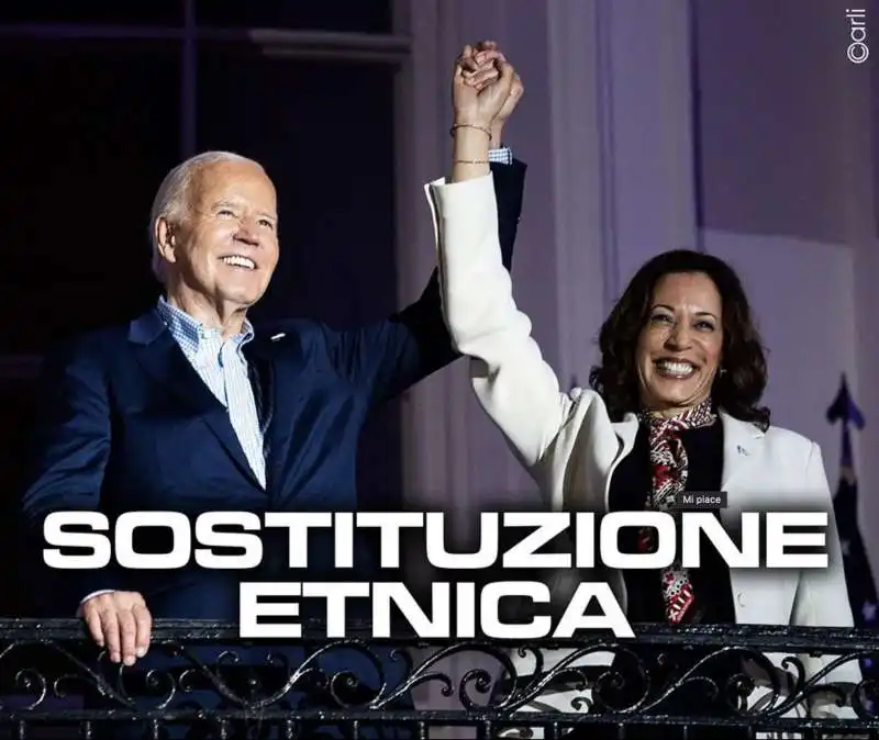 SOSTITUZIONE ETNICA - MEME BY EMILIANO CARLI