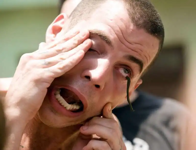 steve o 1