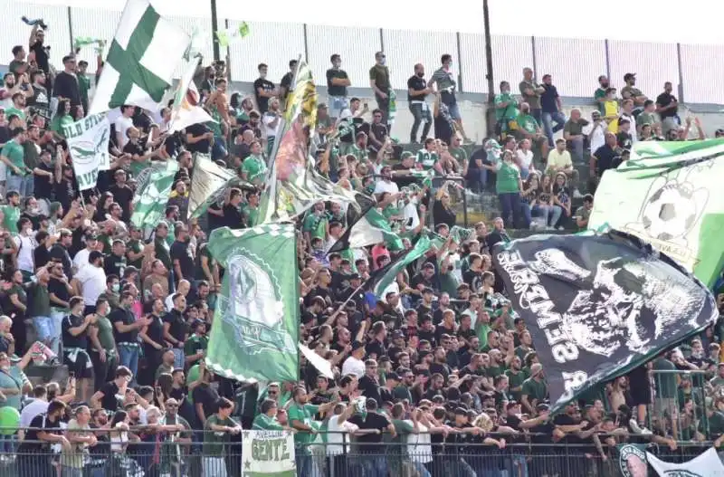 tifosi avellino. 